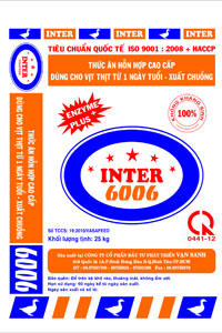 'INTER 6006
